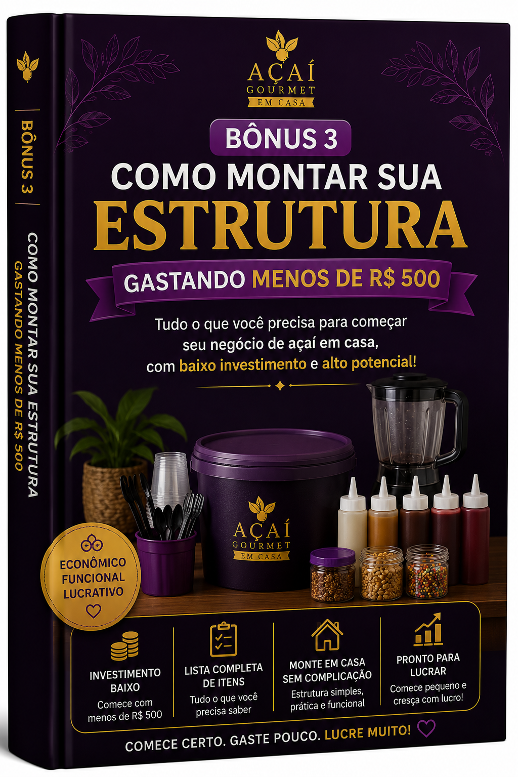 Bônus: Como Montar Sua Estrutura Gastando Menos de R$500